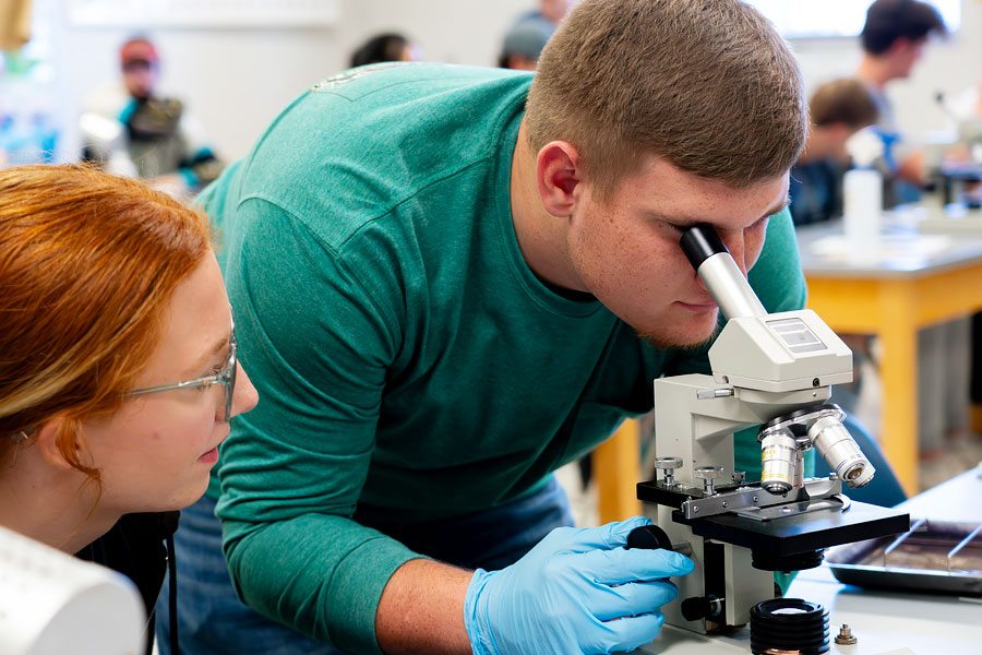 Biology lab students look into a microscope.